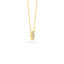 14K Gold Diamond Pave Disc Necklace
